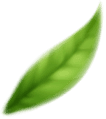 rev_home6_5.png